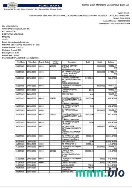 Indie Bank Of Punjab (Bop) wyciąg z konta, 3 strony